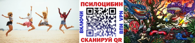 Псилоцибиновые грибы мицелий  Купить  Лениногорск 